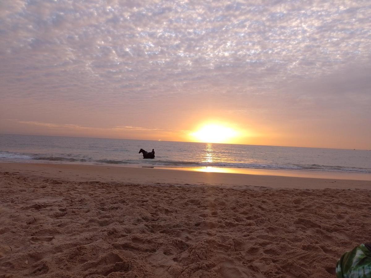 Paradisplage, 1 Minute De La Mer Saly Portudal Zewnętrze zdjęcie
