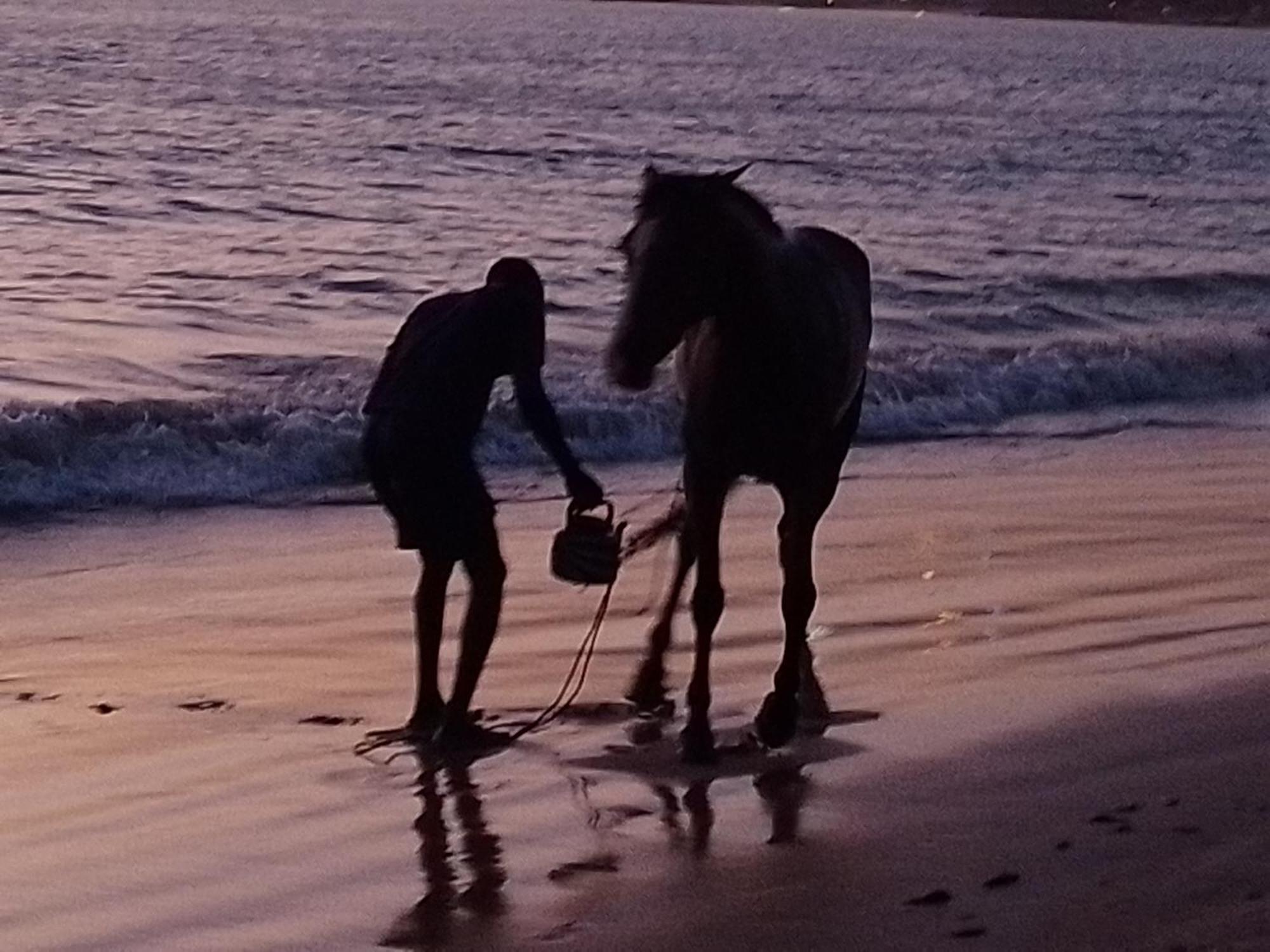 Paradisplage, 1 Minute De La Mer Saly Portudal Zewnętrze zdjęcie